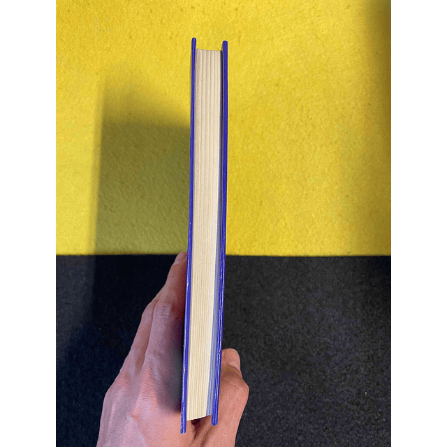 Rosa Lobato de Faria - Os pássaros de seda