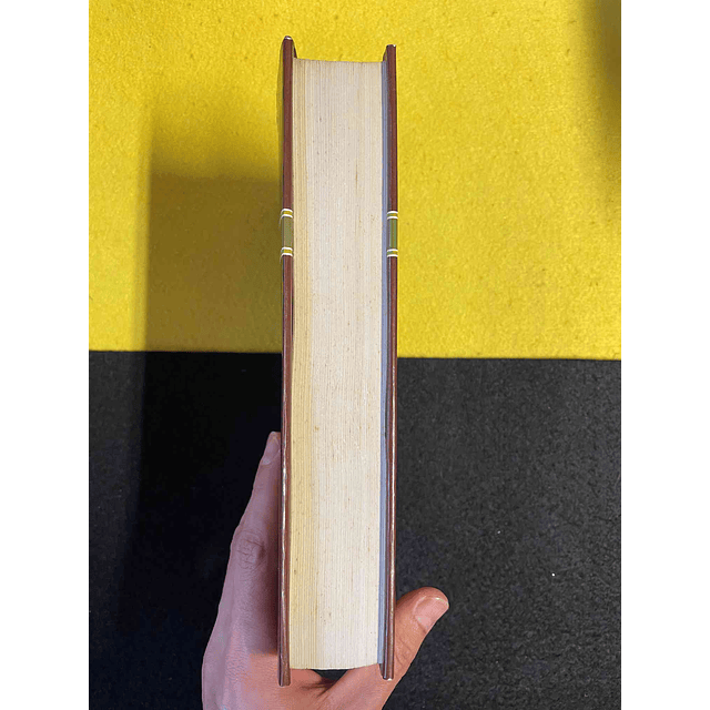 Thomas Mann - A montanha mágica