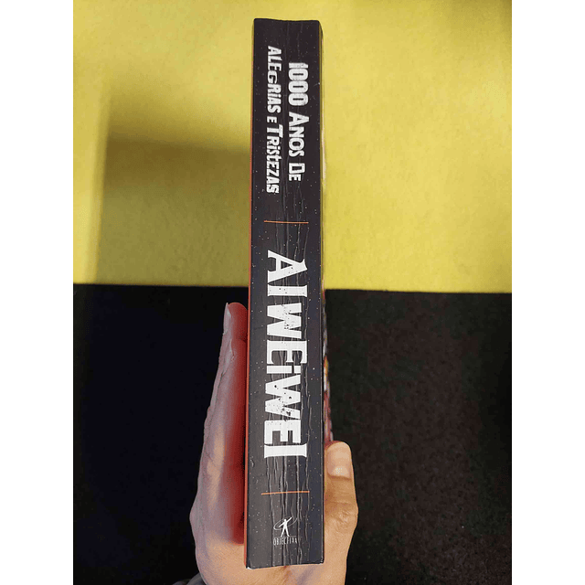 Ai Weiwei - 1000 anos de alegrias e tristezas