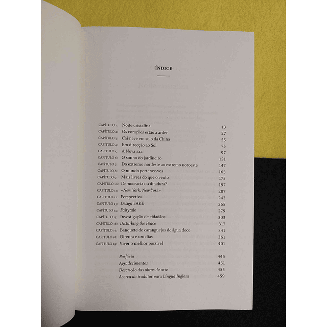 Ai Weiwei - 1000 anos de alegrias e tristezas