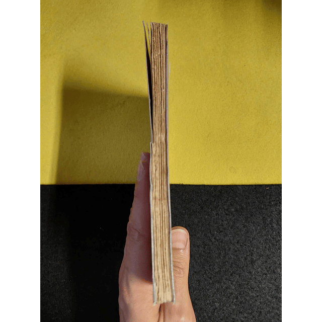 Américo Cortez Pinto - A alma e o deserto