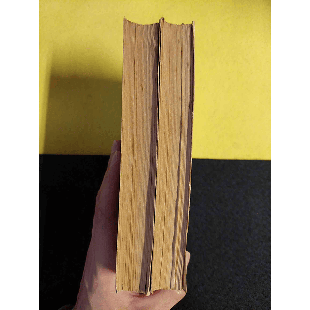 Dostoiewsky - O idiota. 2 volumes