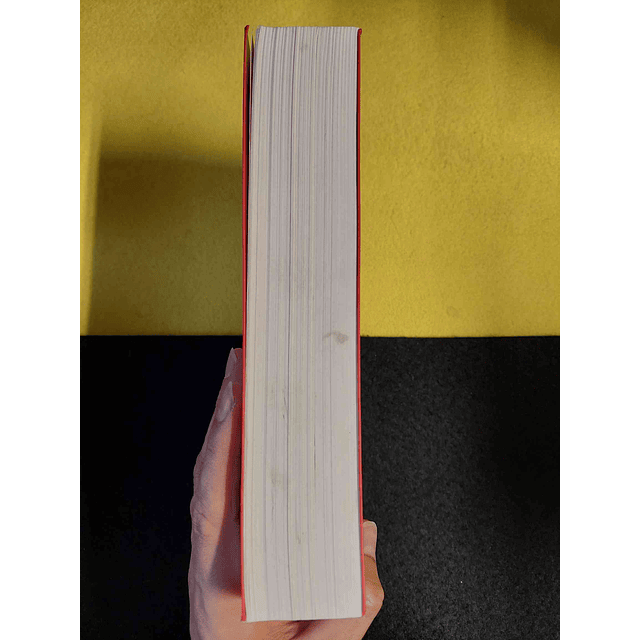 Thomas Piketty - O capital no século XXI