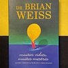 Brian L. Weiss - Muitas vidas, muitos mestres