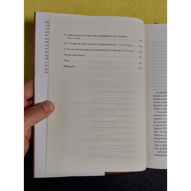 Marsilio Cassotti - D. Teresa: A primeira rainha de Portugal