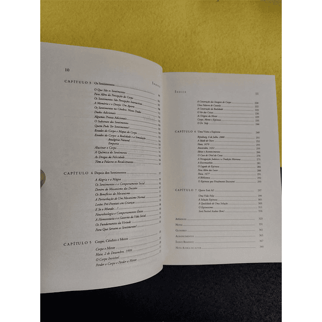 António Damásio - Ao encontro de Espinosa 