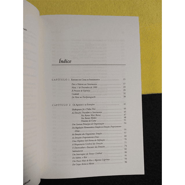 António Damásio - Ao encontro de Espinosa 