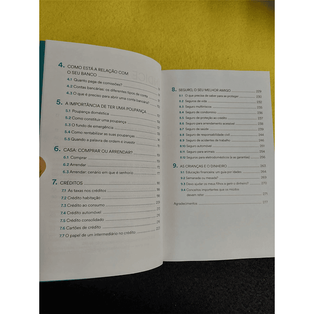 Sara Antunes - Ganhar poupar investir