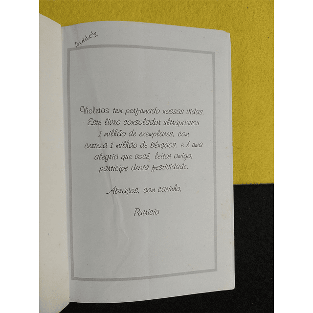 Vera de Carvalho - Violetas na janela 