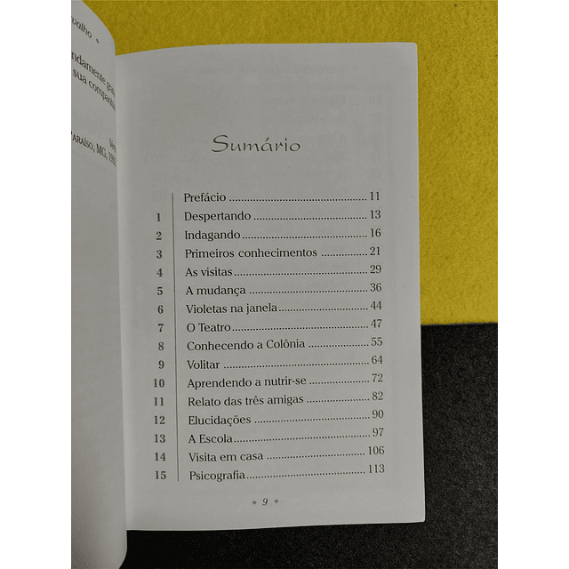 Vera de Carvalho - Violetas na janela 