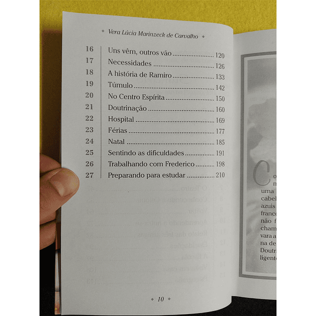 Vera de Carvalho - Violetas na janela 