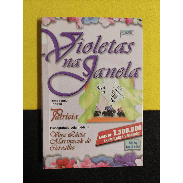 Vera de Carvalho - Violetas na janela 