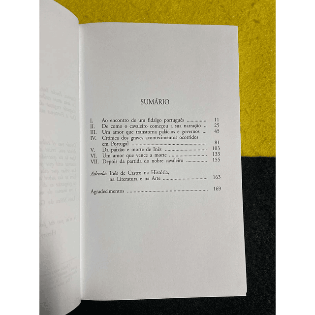 Maria Pilar Queralt Del Hierro - Inês de Castro 