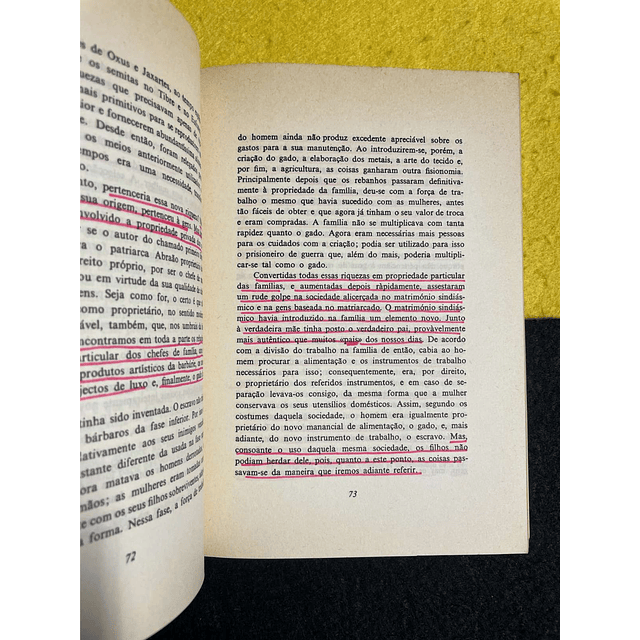 Friedrich Engels - A origem da família da propriedade e do estado