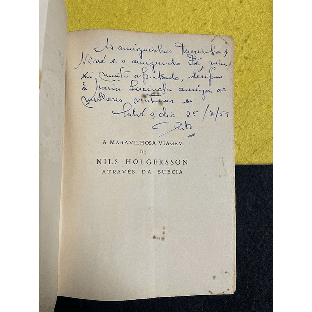 Selma Lagerlof - A maravilhosa viagem de Nils Holgersson