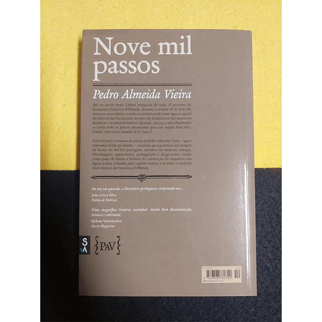 Pedro Almeida Vieira - Novel mil passos