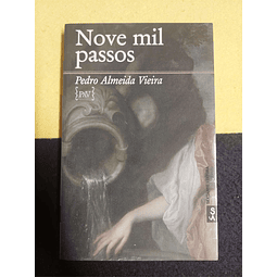 Pedro Almeida Vieira - Novel mil passos