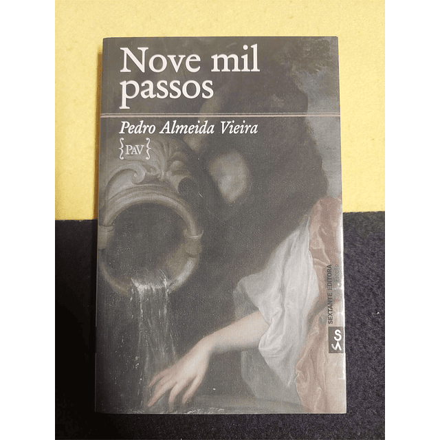 Pedro Almeida Vieira - Novel mil passos