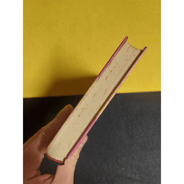 José Cardoso Pires - O hóspede de Job