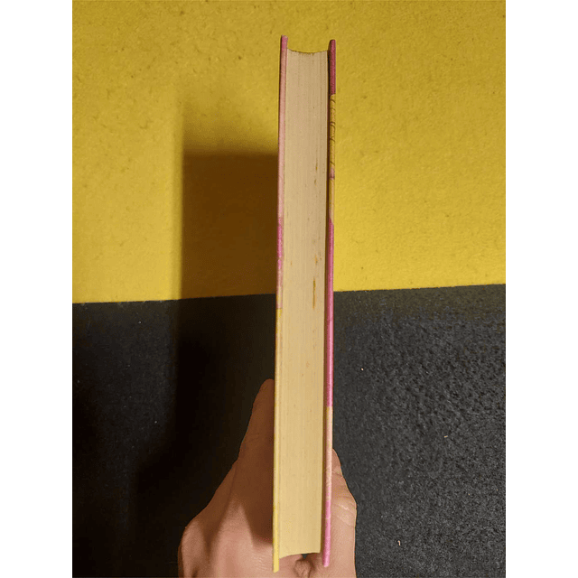 José Cardoso Pires - O hóspede de Job