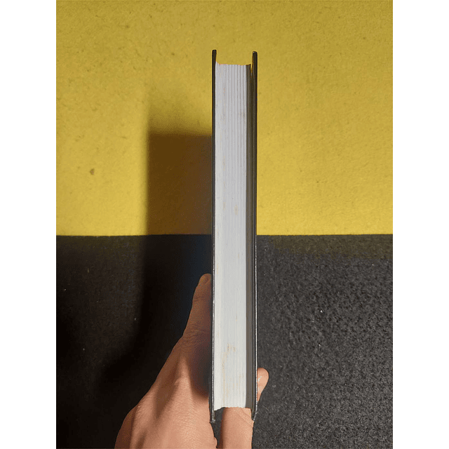 Christian Jacq - Ramsés: A dama de Abu-Simbel