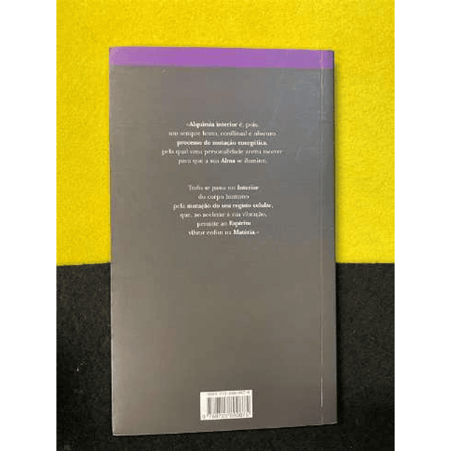 Maria Flávia de Monsaraz - Alquimia como processo cósmico, astrológico e individual de autoconhecimento