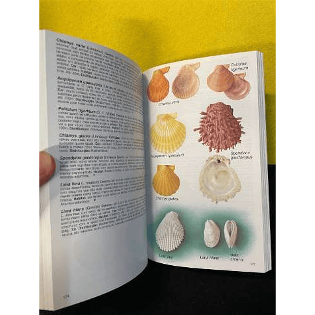 Andrew Campbell - Guias Fapas: Fauna e flora do litoral de Portugal e Europa