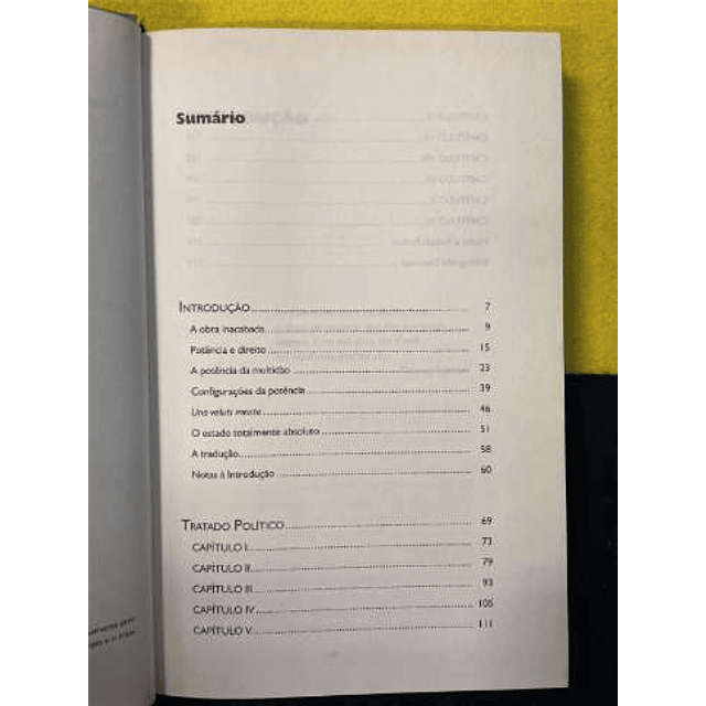 Espinosa - Tratado político