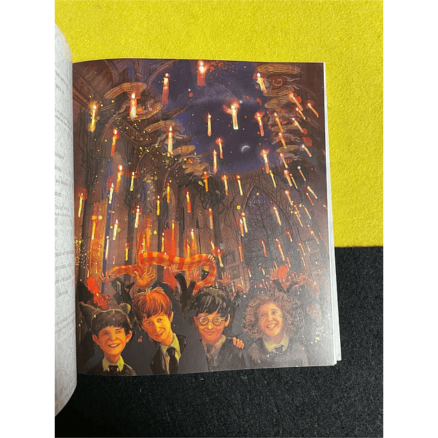 J. K. Rowling - Harry Potter: Um ano mágico