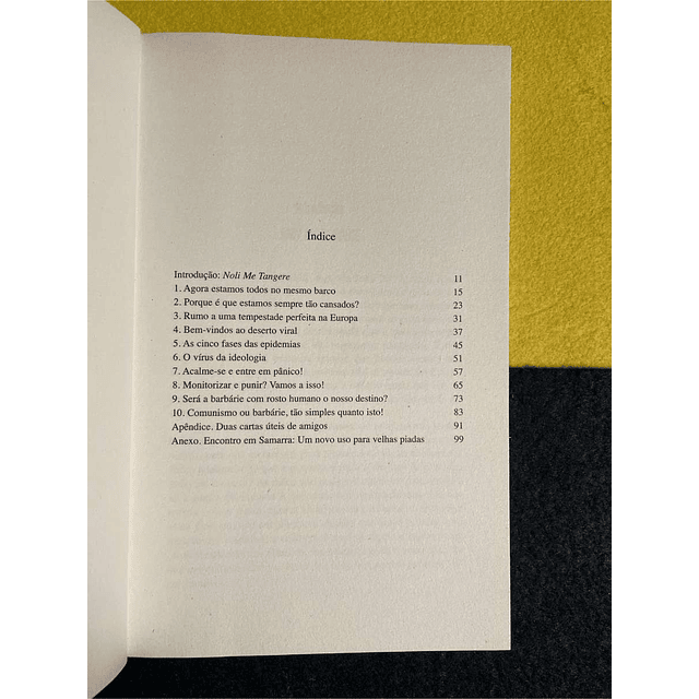 Slavoj Zizek - A pandemia que abalou o mundo