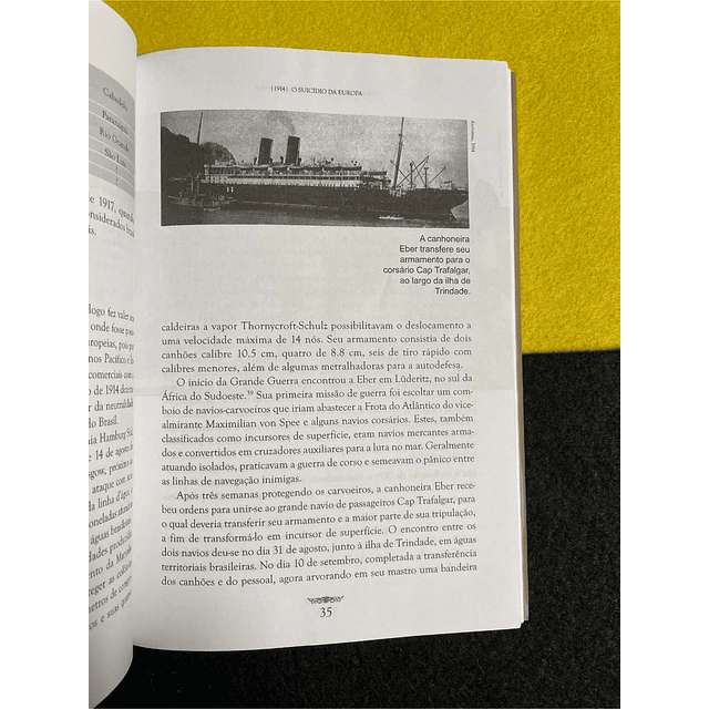 Carlos Daróz - O Brasil na primeira guerra mundial: A longa travessia