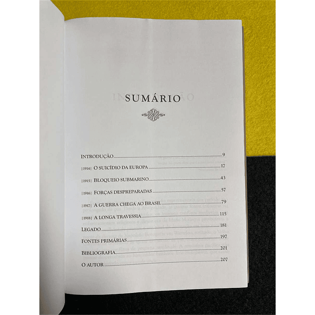 Carlos Daróz - O Brasil na primeira guerra mundial: A longa travessia