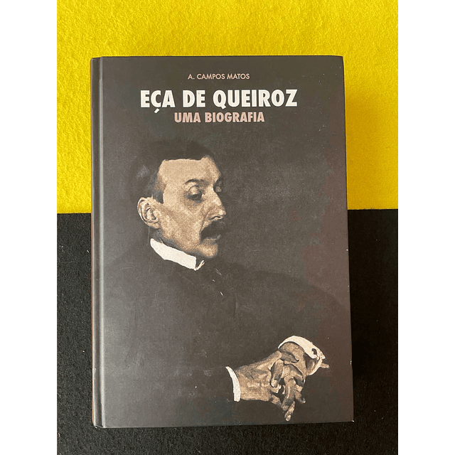 A. Campos Matos - Eça de Queiroz: Uma biografia 