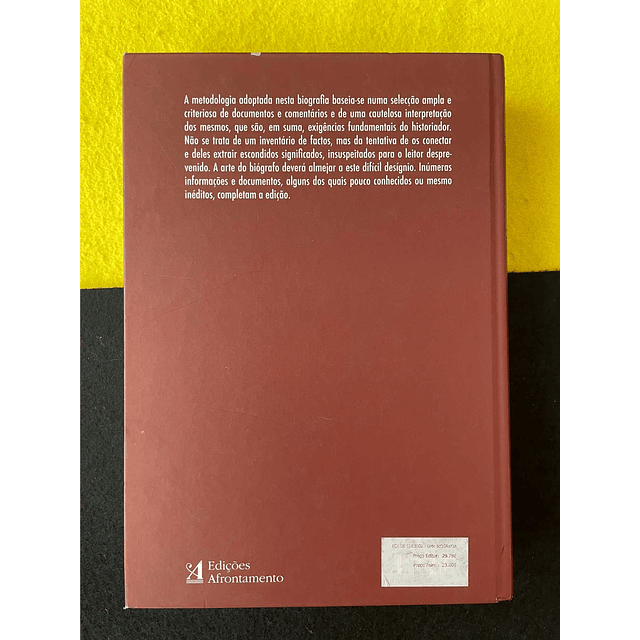 A. Campos Matos - Eça de Queiroz: Uma biografia 