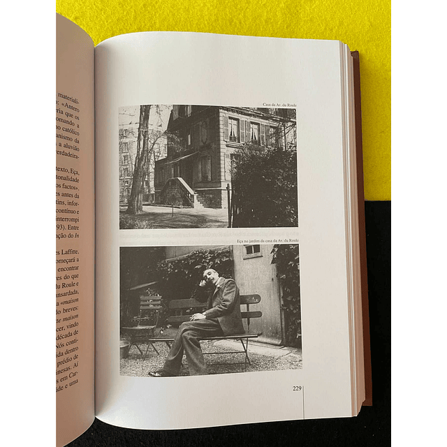 A. Campos Matos - Eça de Queiroz: Uma biografia 