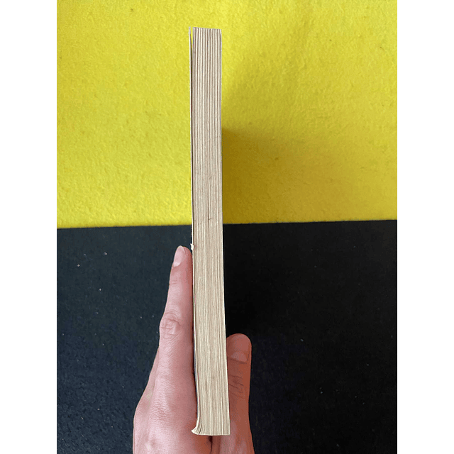 Doris Lessing - O quinto filho