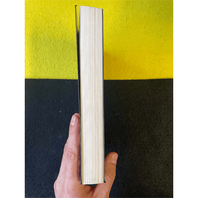 Christian Jacq - Ramsés: A dama de Abu-Simbel 