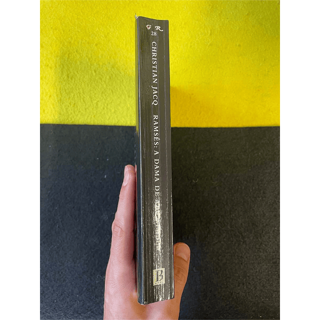 Christian Jacq - Ramsés: A dama de Abu-Simbel 