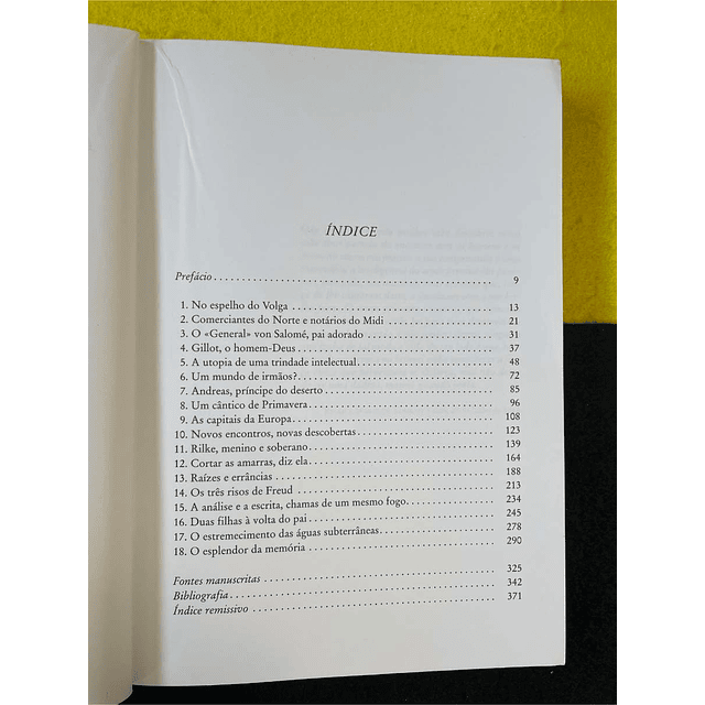 Stéphane Michaud - Lou Andreas-Salomé