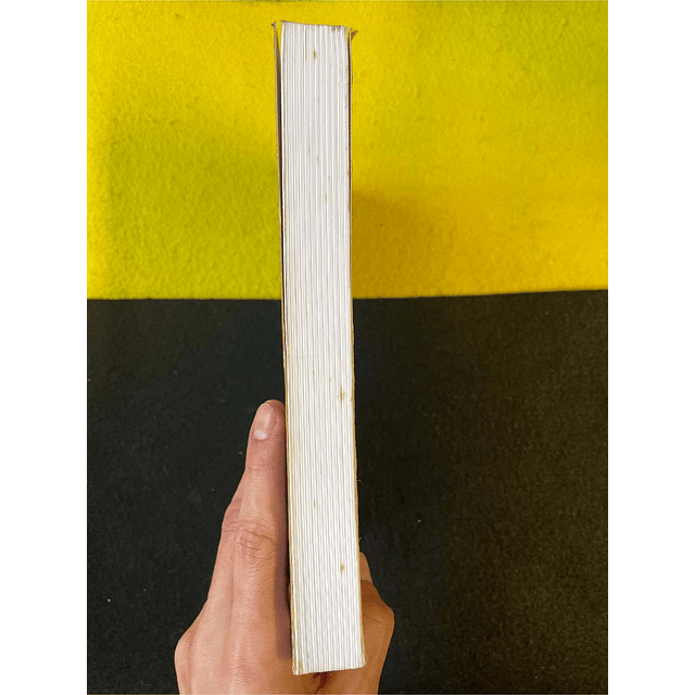 Stéphane Michaud - Lou Andreas-Salomé