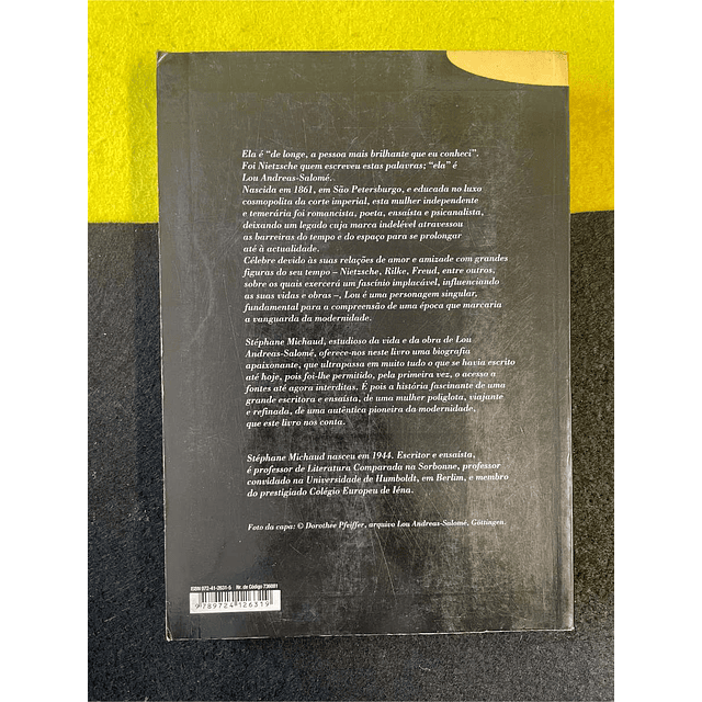 Stéphane Michaud - Lou Andreas-Salomé