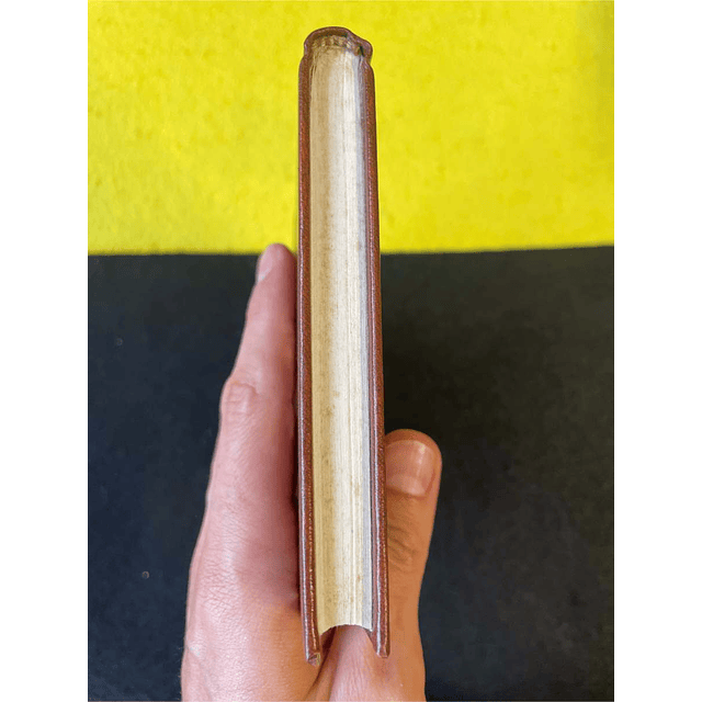 Erasmo de Roterdão - Elogio da loucura