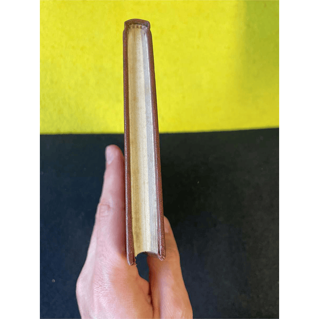 Dante Alighieri - Vida nova