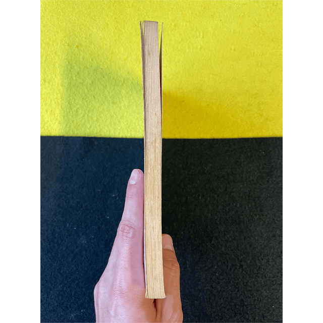 Luís T. Rodrigues - Os dias felizes