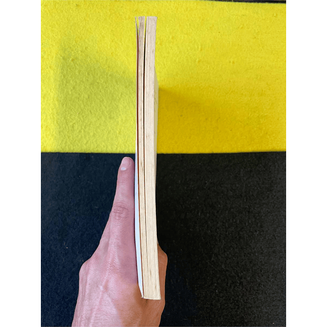 Egito Gonçalves - A ferida amável