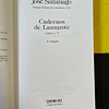 José Saramago - Cadernos de Lanzarote. Diário - V