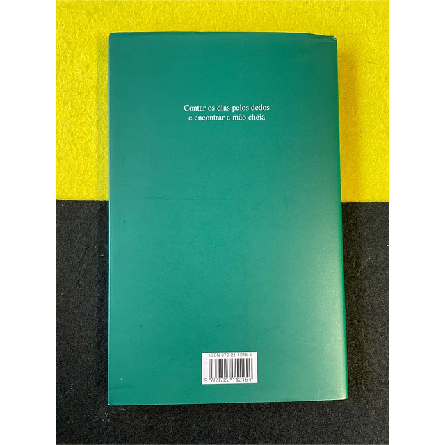 José Saramago - Cadernos de Lanzarote. Diário - V