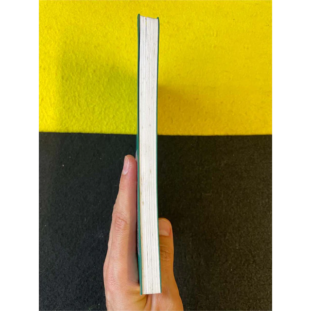 José Saramago - Cadernos de Lanzarote. Diário - V