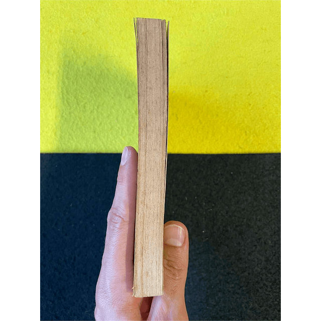 Frances B. Clark - Jane Seymour: As 6 mulheres de Henrique VIII. LIVRO DE BOLSO