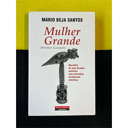 Mário Beja Santos - Mulher grande: Narrativa de uma heroína anónima com estranhas incidências afectivas
